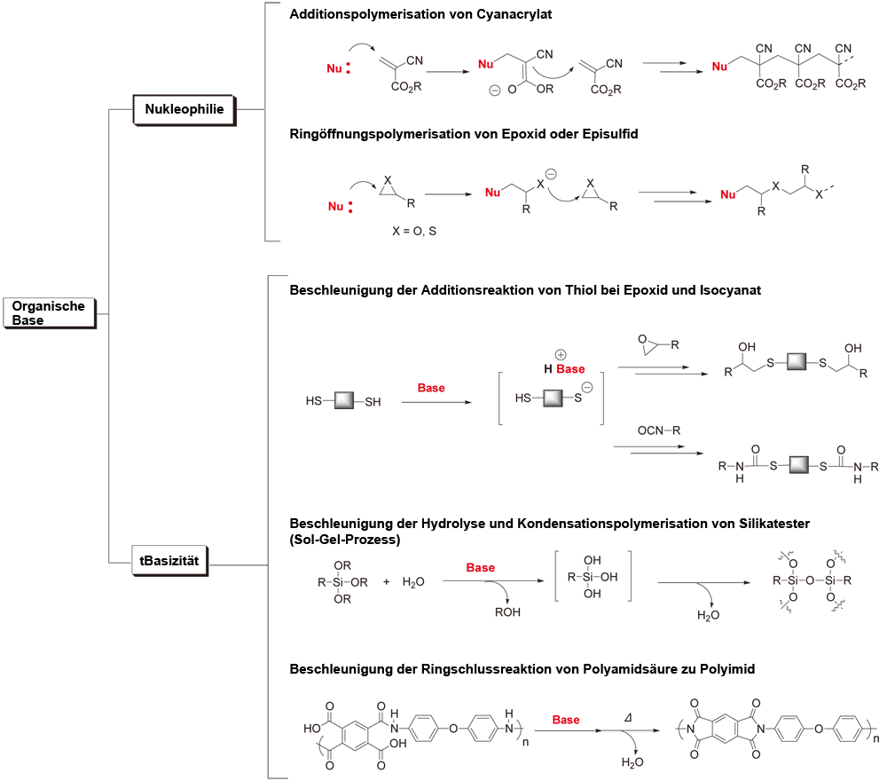 Six examples of reactions using organic bases