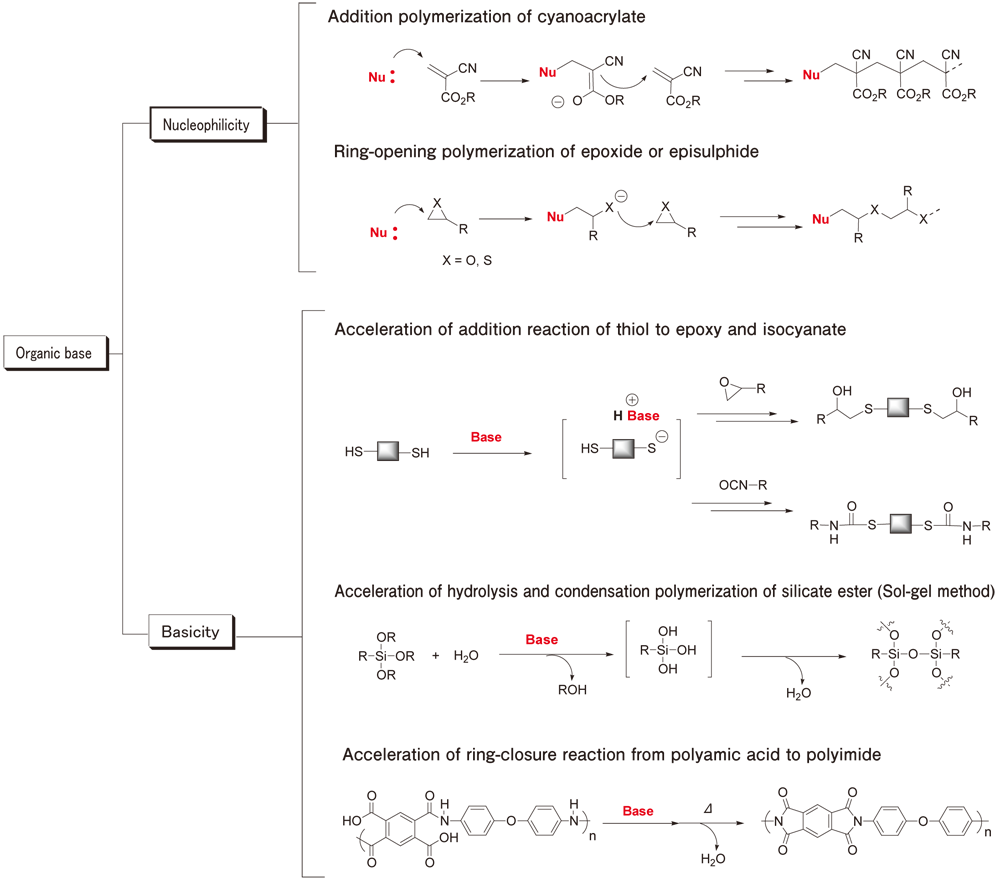 Six examples of reactions using organic bases