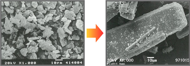 太さ数μmの針状結晶が数倍の太さに変化したことを示す画像
