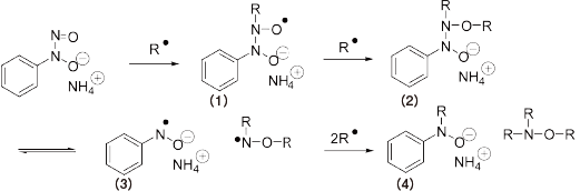 Polymerisationsinhibitionsmechanismus eines Hochleistungspolymerisationsinhibitors (angenommen)