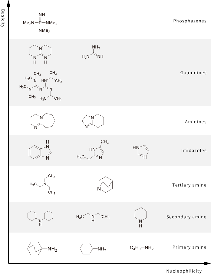 Classification of organic bases by basicity and nucleophilicity