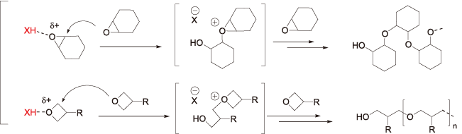 Mechanism of ring-opening polymerization of epoxides and oxetanes