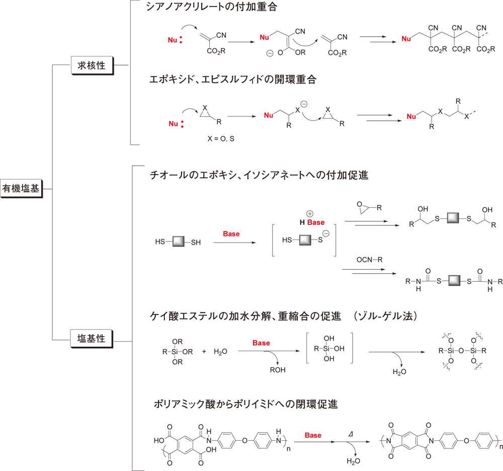 有機塩基を使った6つの反応例