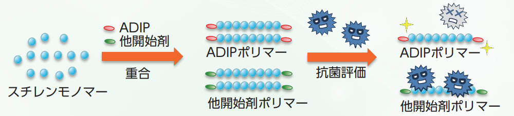 スチレンモノマーとADIPによって合成されたポリマーは抗菌性が期待できる