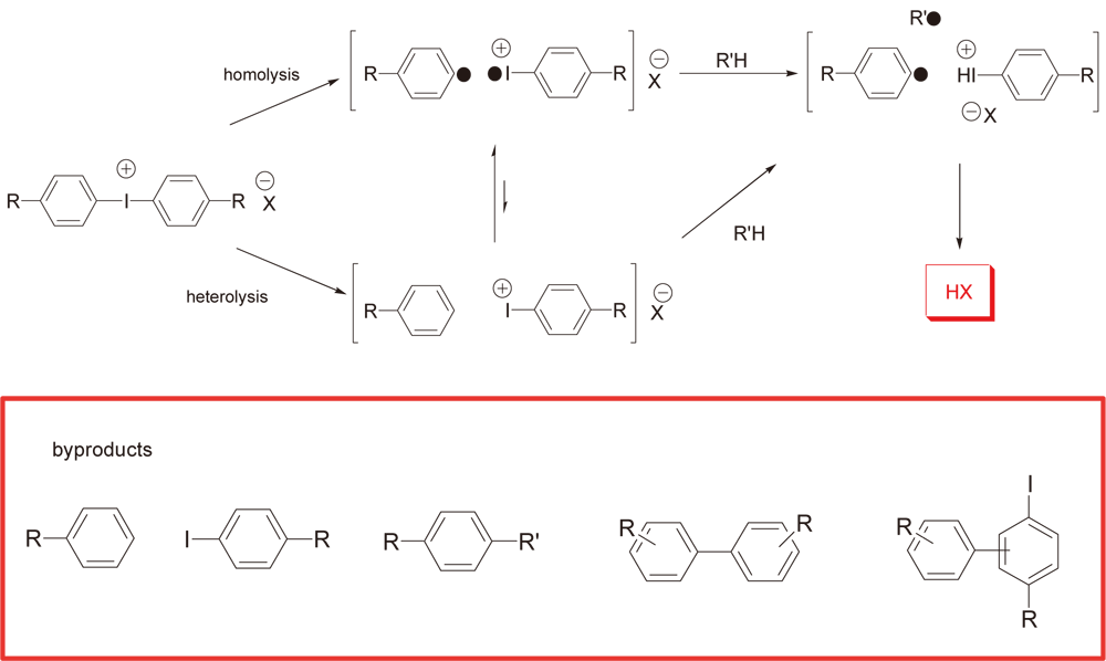 Mechanism of photo decomposition reaction